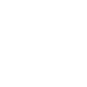Icon Weniger CO2
